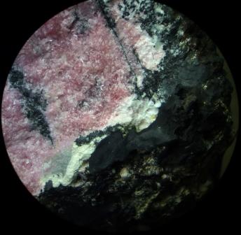d0045626_229966.jpg