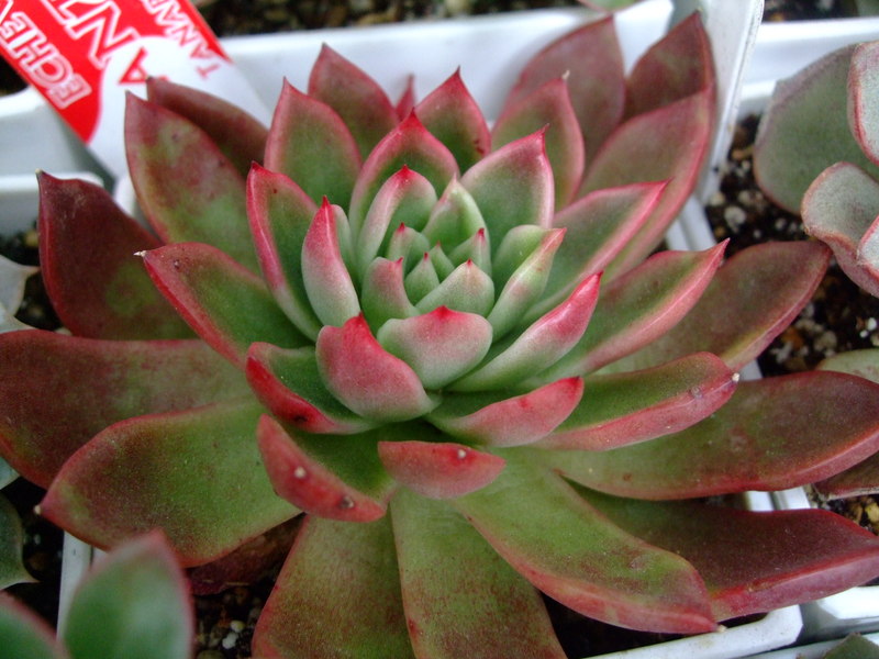 f0243726_1051659.jpg