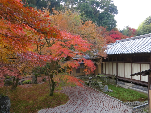 11月　太宰府・光明禅寺で紅葉を楽しむ_a0055835_21162745.jpg