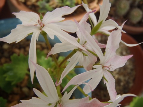a0054240_0185818.jpg