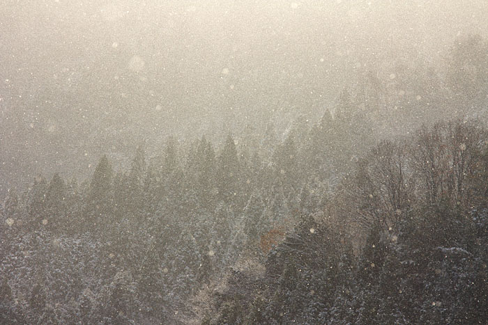 c0067040_23371789.jpg