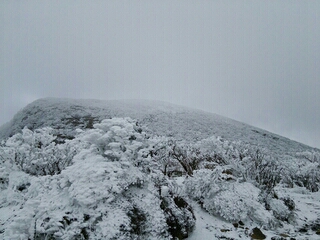 b0061863_1113278.jpg