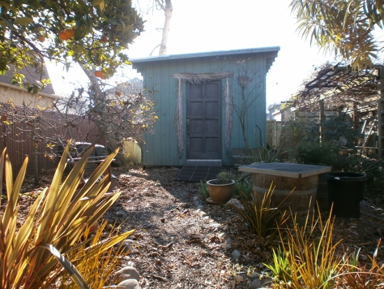d0000995_8165234.jpg