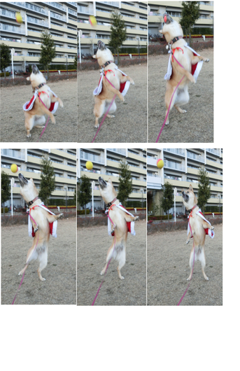 d0262797_893316.png