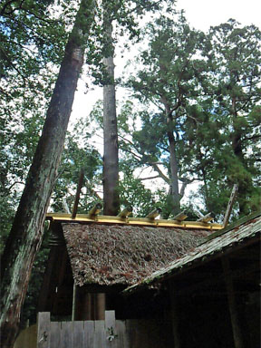 e0104399_20311969.jpg