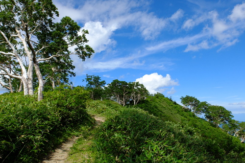 ２０１３山写真ベスト・山の道_e0304001_11453621.jpg