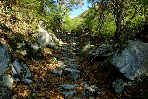 ２０１３山写真ベスト・山の道_e0304001_11453993.jpg