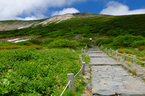 ２０１３山写真ベスト・山の道_e0304001_11494628.jpg