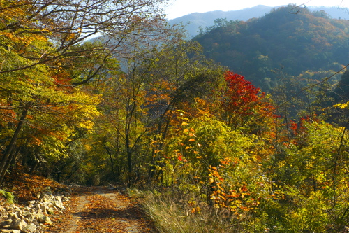 ２０１３山写真ベスト・山の道_e0304001_11502047.jpg