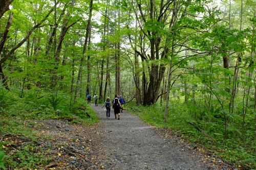 ２０１３山写真ベスト・山の道_e0304001_11523416.jpg