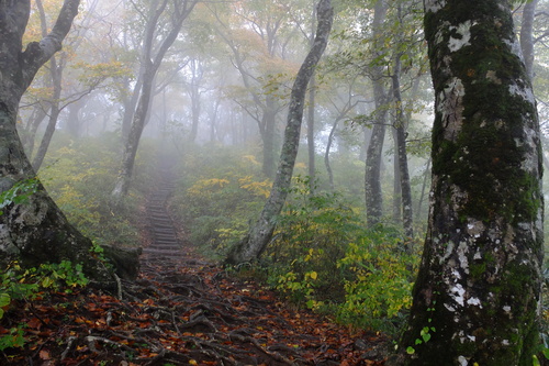 ２０１３山写真ベスト・山の道_e0304001_123573.jpg