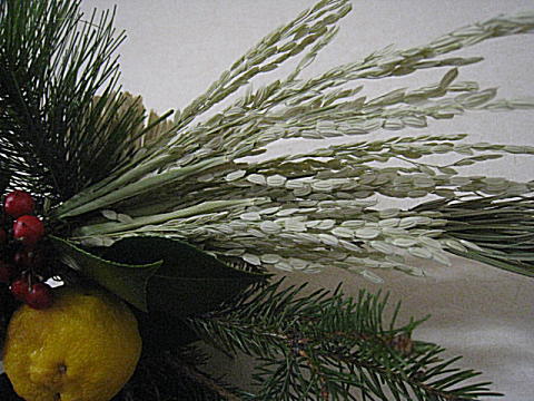 d0046702_10575497.jpg