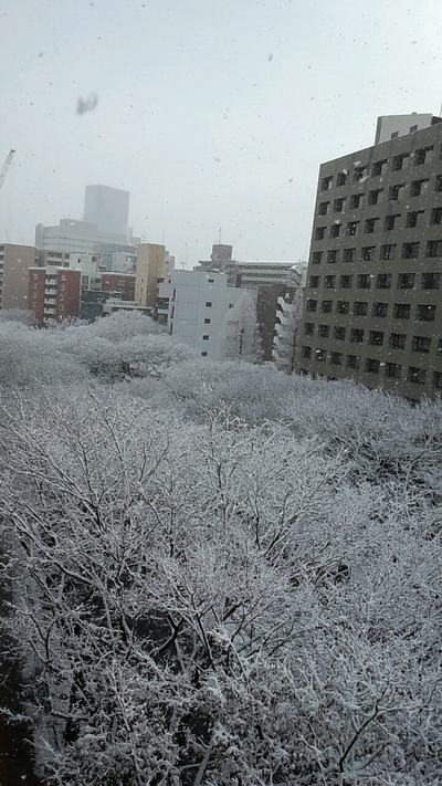 ちょーキレイー_c0183104_1033473.jpg