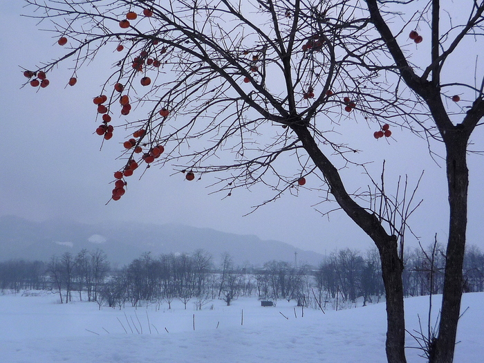 a0214206_0594720.jpg