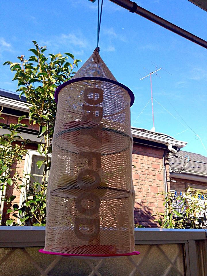 a0298406_156221.jpg