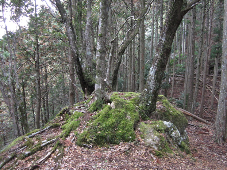 c0242706_21534260.jpg