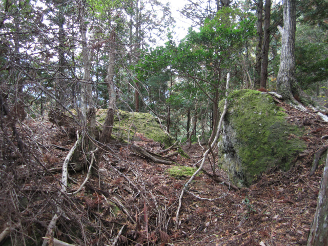 c0242706_2158882.jpg