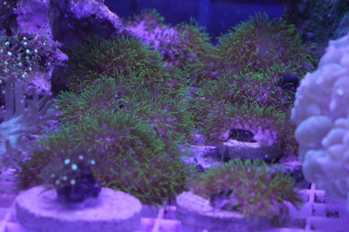 c0165807_2221746.jpg