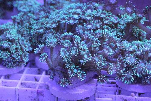 c0165807_222796.jpg