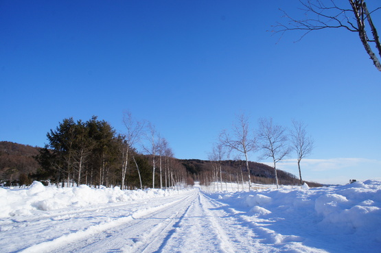 a0248508_13584923.jpg