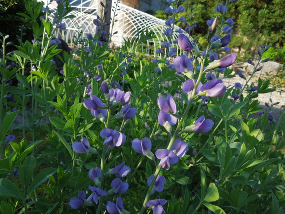 f0297809_018168.jpg