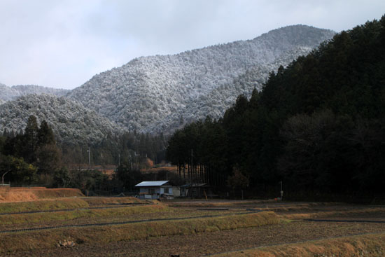 冬本番_e0048413_20373468.jpg