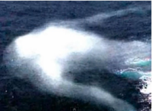 UFO vs UMA 2013：今年もいや〜〜まいった、まいった。良い年末年始を！_e0171614_11275123.jpg