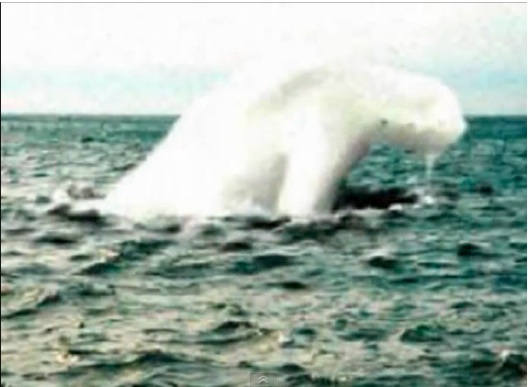 UFO vs UMA 2013：今年もいや〜〜まいった、まいった。良い年末年始を！_e0171614_11282054.jpg