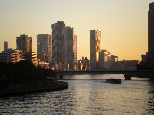 トイデジ・パンダ君の緑世界_a0136725_1221889.jpg