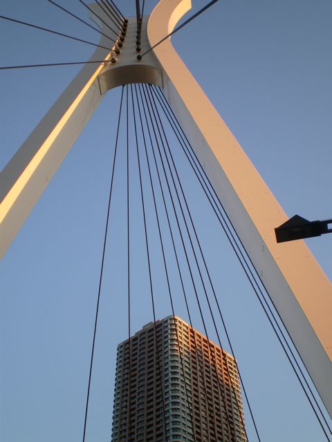 トイデジ・パンダ君の緑世界_a0136725_1222253.jpg