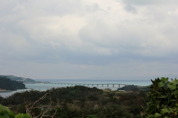 a0230831_2059512.jpg
