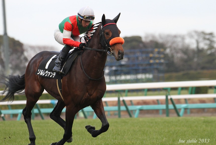 1228  有馬のあとの競馬開催はやはり・・・_c0240132_67498.jpg