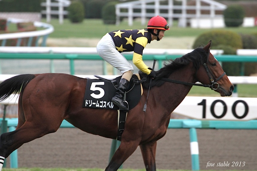 1228  有馬のあとの競馬開催はやはり・・・_c0240132_675819.jpg