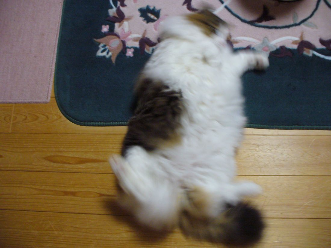f0275632_22462421.jpg