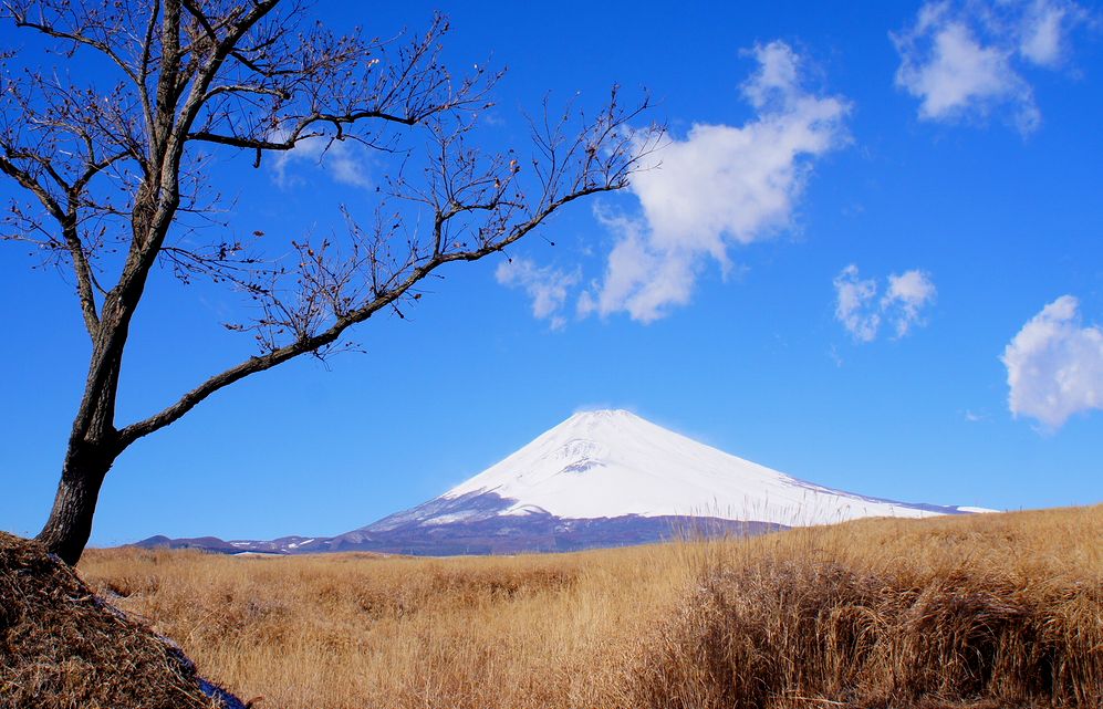 28/December  雪景色の富士山巡り_e0149934_1935031.jpg