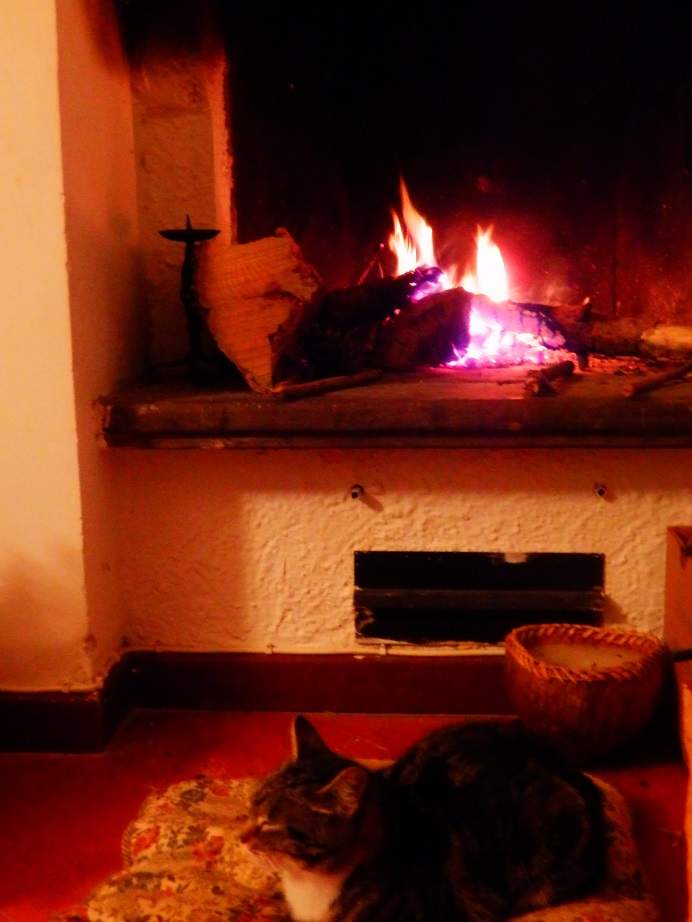 b0150335_9733.jpg