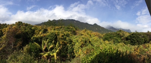 f0229844_23443461.jpg
