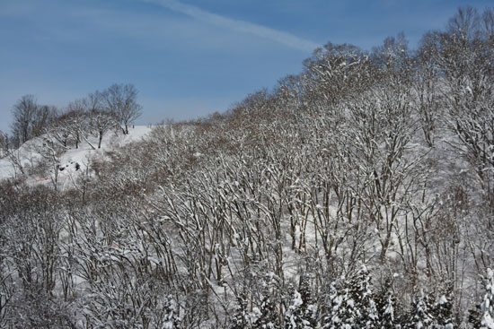 c0093046_8433948.jpg