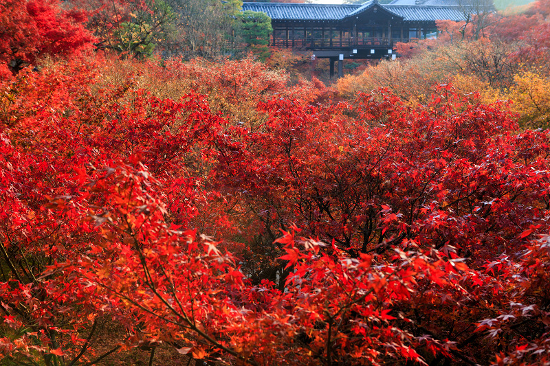 秋の朝・光明院_f0155048_043879.jpg