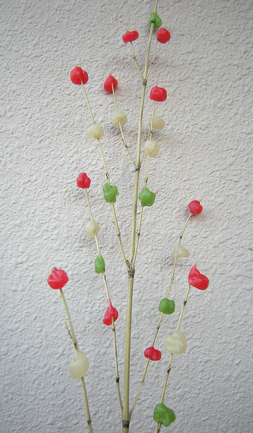 a0001354_19181976.gif