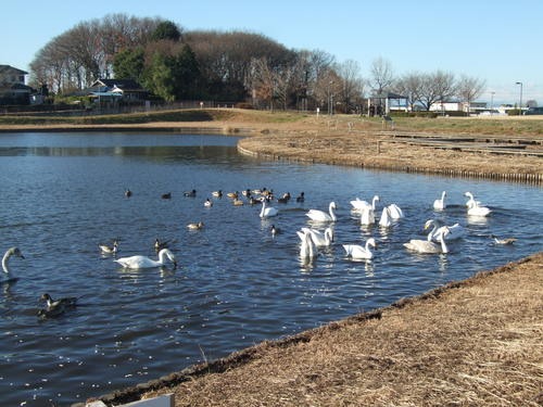c0111557_100531.jpg