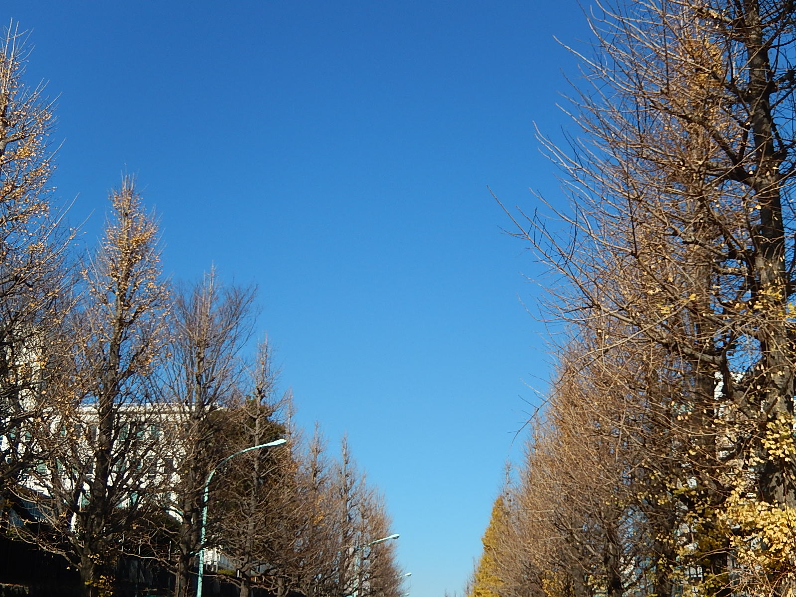 12月28日　渋谷　原宿　の自転車屋　FLAME bike前です_e0188759_13313053.jpg