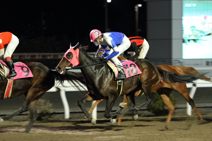 田中譲二調教師 地方通算勝利1000勝達成 にゃお吉の高知競馬 応援写真日記 A 高知の美味しいお店