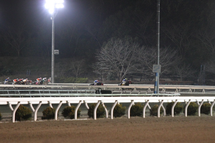 田中譲二調教師 地方通算勝利1000勝達成 にゃお吉の高知競馬 応援写真日記 A 高知の美味しいお店