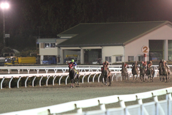 田中譲二調教師 地方通算勝利1000勝達成 にゃお吉の高知競馬 応援写真日記 A 高知の美味しいお店