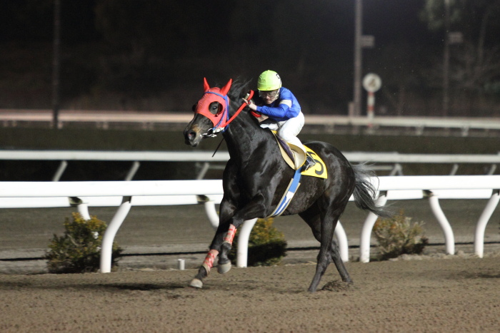田中譲二調教師 地方通算勝利1000勝達成 にゃお吉の高知競馬 応援写真日記 A 高知の美味しいお店