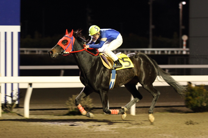 田中譲二調教師 地方通算勝利1000勝達成 にゃお吉の高知競馬 応援写真日記 A 高知の美味しいお店