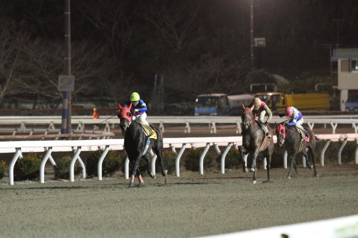 田中譲二調教師 地方通算勝利1000勝達成 にゃお吉の高知競馬 応援写真日記 A 高知の美味しいお店