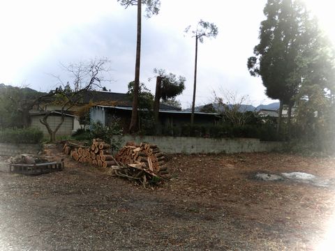 d0321567_16114369.jpg
