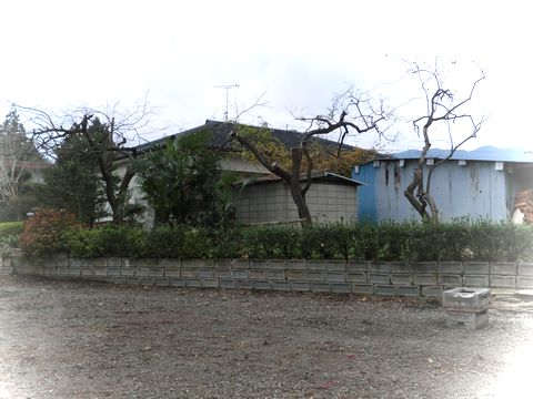 d0321567_1643170.jpg